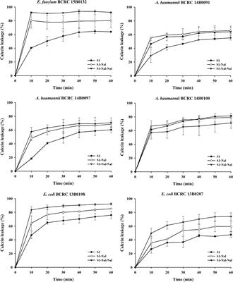 Boosting Synergistic Effects of Short Antimicrobial Peptides With Conventional Antibiotics Against Resistant Bacteria